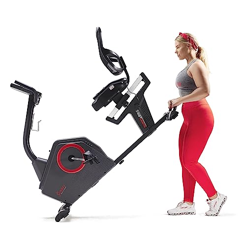 Sunny Recumbent Exercise Bike