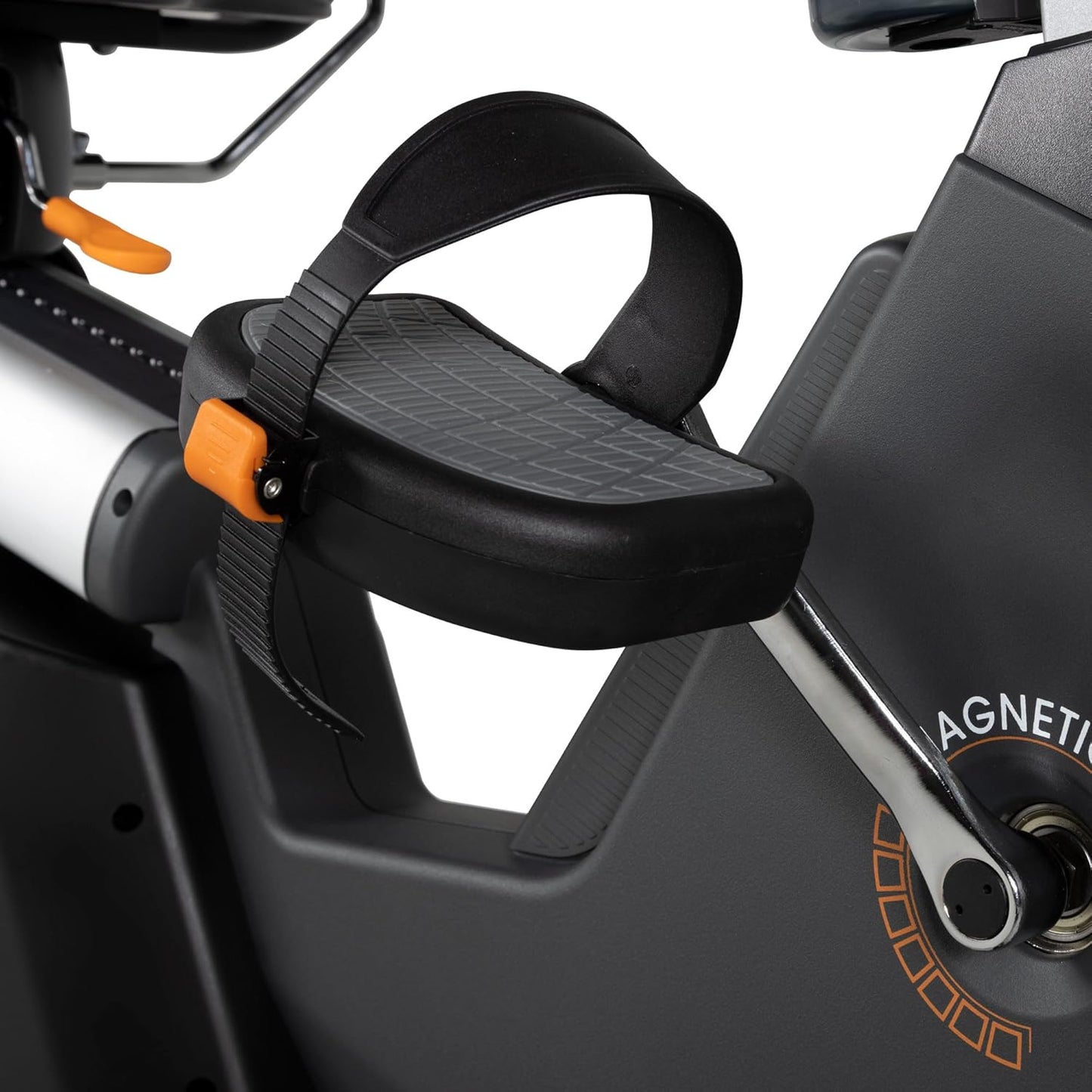 Elite RB X Recumbent Bike