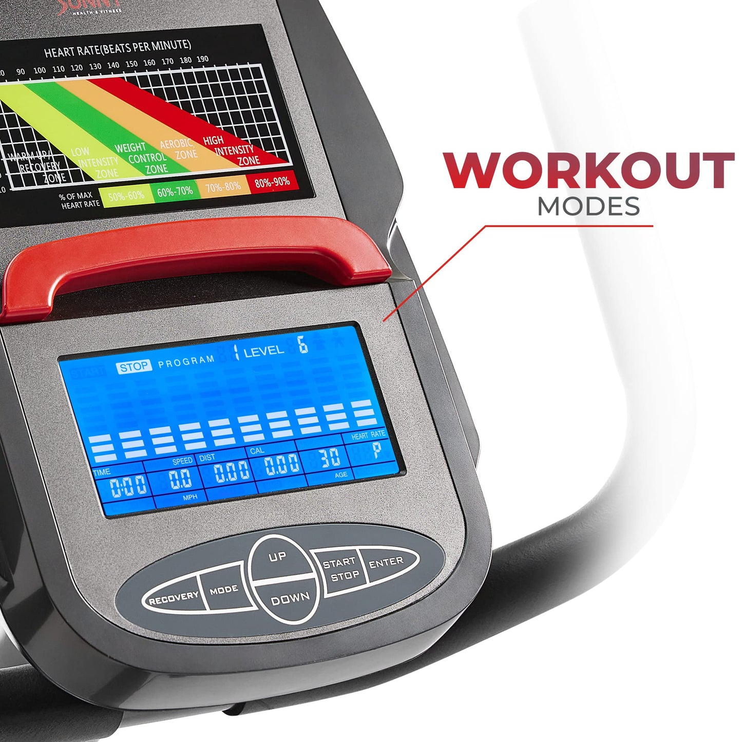 Sunny Recumbent Exercise Bike
