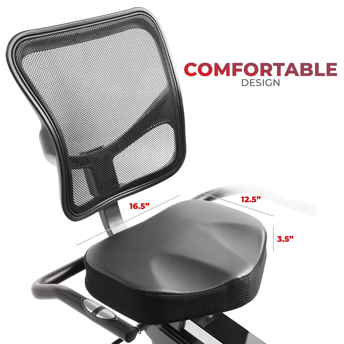 Sunny Recumbent Exercise Bike