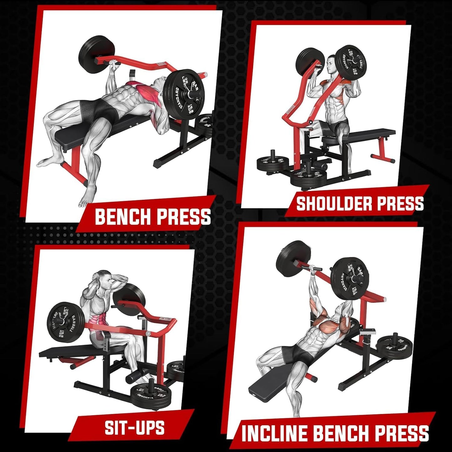GMWD Chest Press Machine, 1050LBS Bench Press Machine