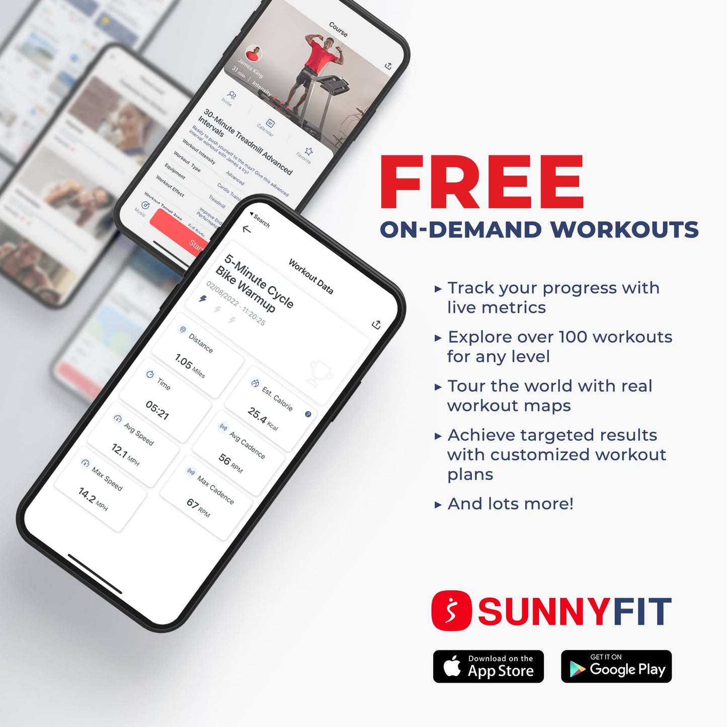 Sunny Recumbent Exercise Bike