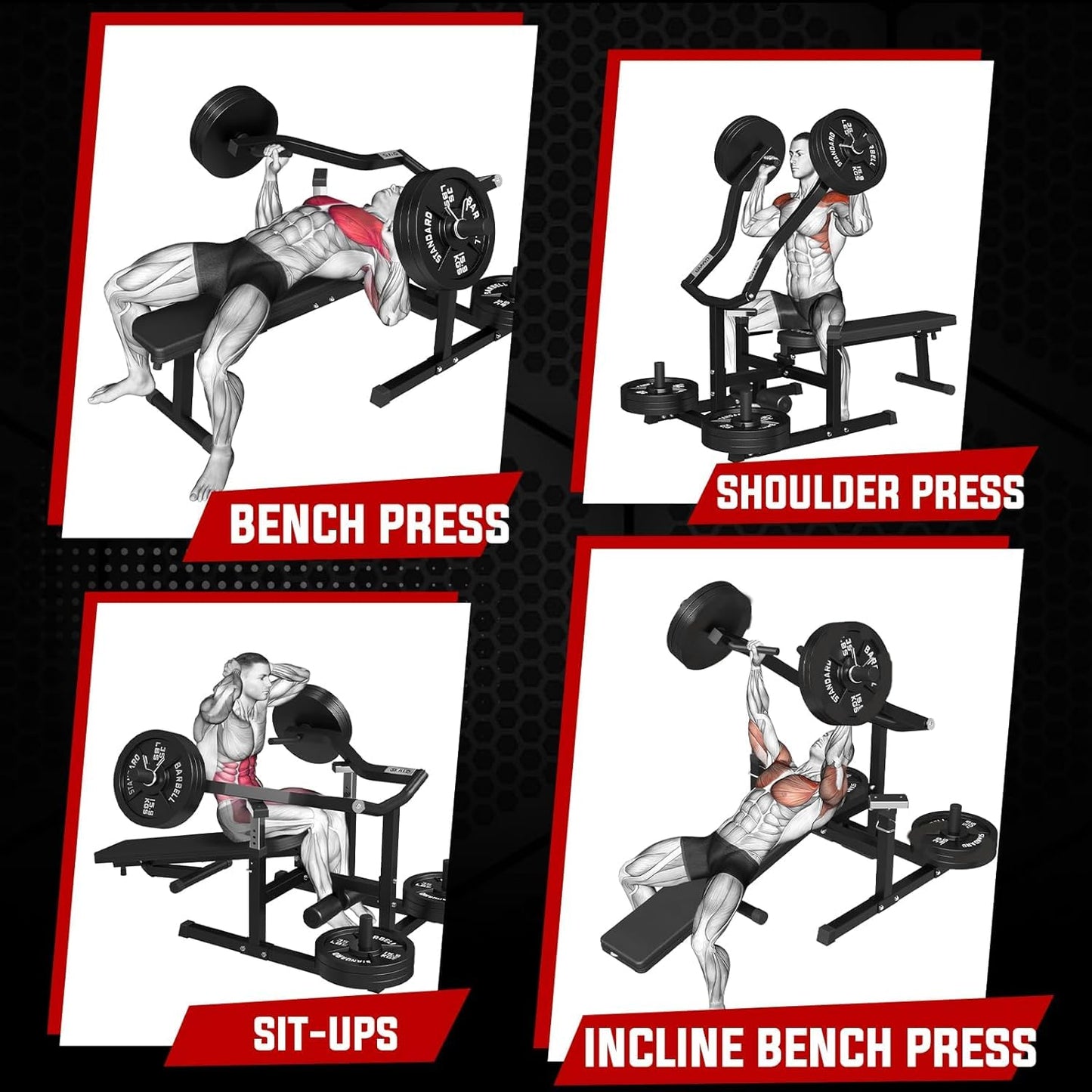 GMWD Chest Press Machine, 1050LBS Bench Press Machine